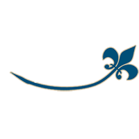 Gouttieres Roussillon